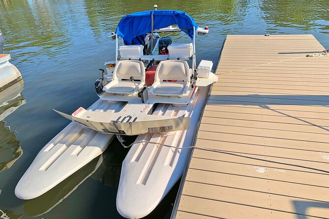 Bioluminescence Night Craigcat Tours - Key Points