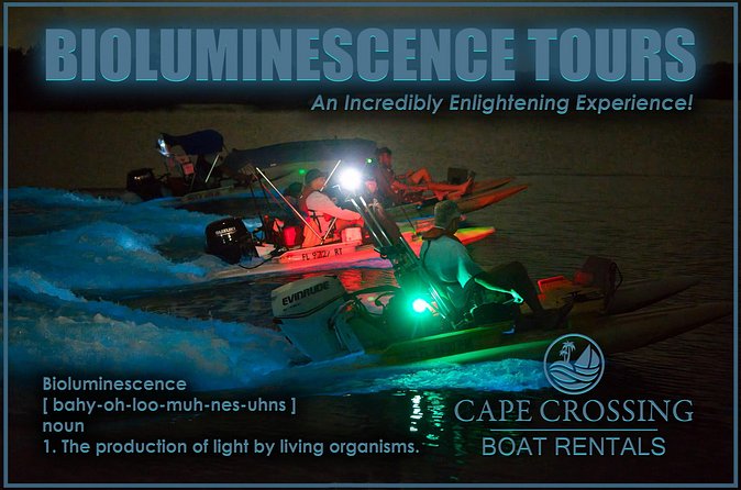 Bioluminescence Night Craigcat Tours - Final Thoughts