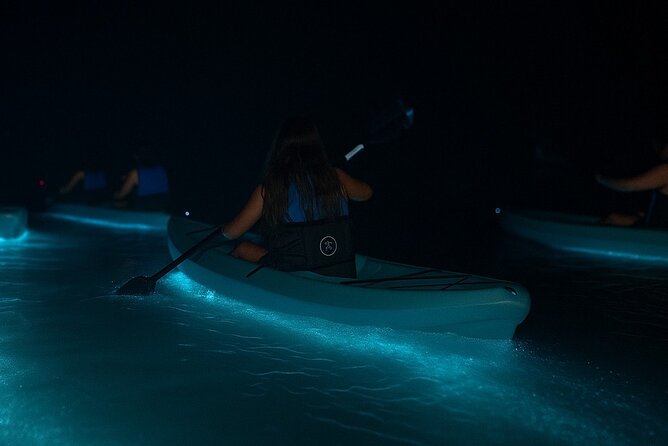 Kayak Tours and Rentals. Dolphins, Manatees, and Bioluminescence! - Introduction