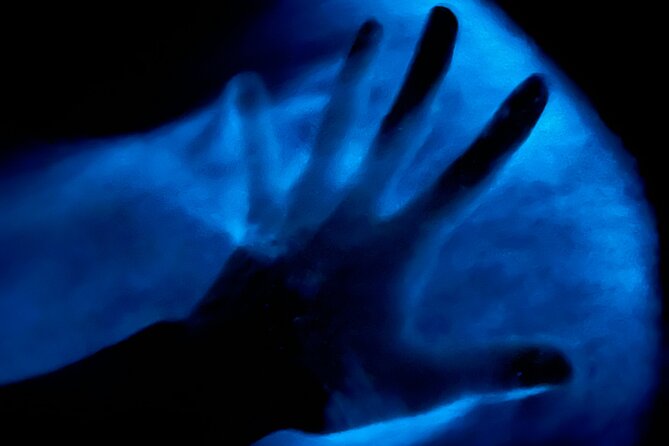 Bioluminescent Kayak Tour in Floridas Indian River Lagoon - Why It’s a Great Value