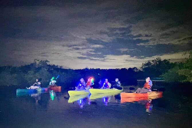 Bioluminescent Kayak Tour in Floridas Indian River Lagoon - Key Points