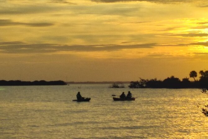 Clear Kayak Sunset Tour - Cocoa Beach - An Inside Look at the Experience