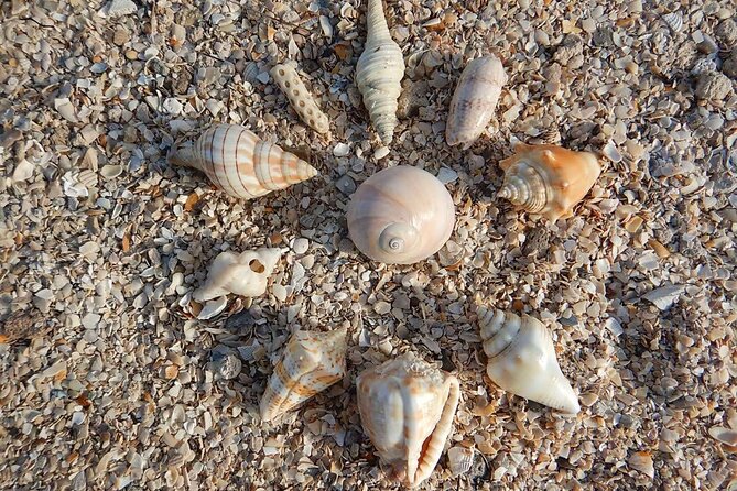 Clear Kayak Sunset Tour - Cocoa Beach - Final Thoughts