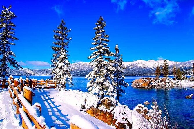 Lake Tahoe Small Group Tour from Cupertino - The Sum Up