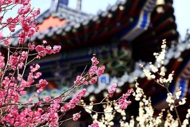 Private In-Depth Day Tour of Nanjing Purple Mountain with Lunch - FAQs