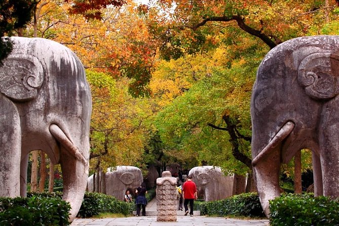 Nanjing Private Flexible Day Tour with Professional Guide and Driver Service - Value for Money