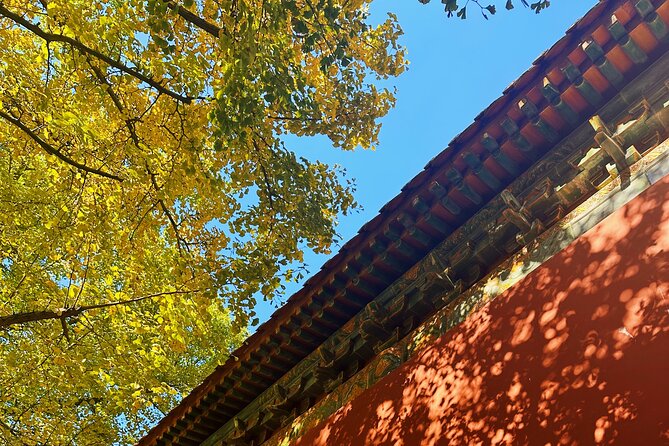 Nanjing Professional and Private Tour Guide Service - Pricing and Value