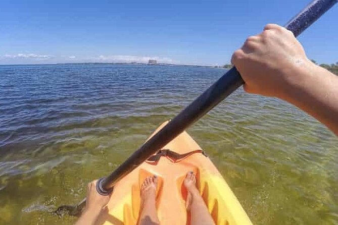 Harbor Kayak Rental in Destin, Florida - The Scenic Highlights