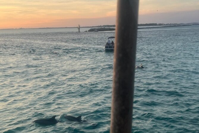 Dolphin & Sunset Cruises - Discover Destin’s Marine Wonders with Dolphin & Sunset Cruises