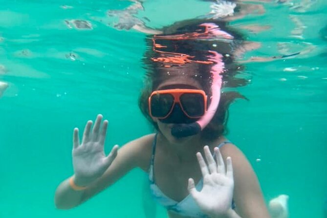 Family-Friendly Snorkeling and Dolphin Tour from FWB - The Sum Up