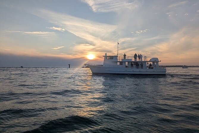 Destin Family Friendly Dolphin Watching Adventure - Who Should Consider This Tour?