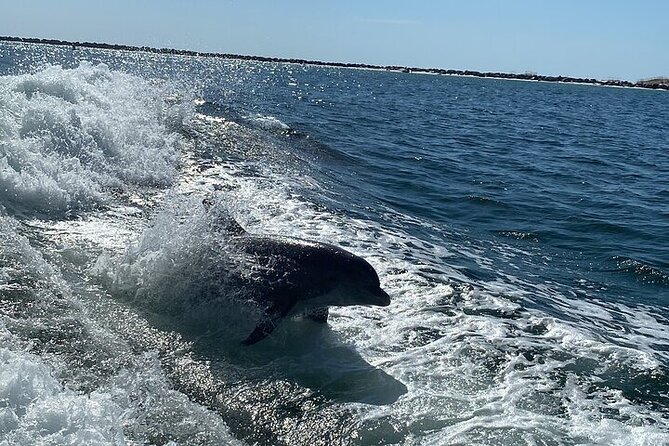 Destin Family Friendly Dolphin Watching Adventure - FAQ