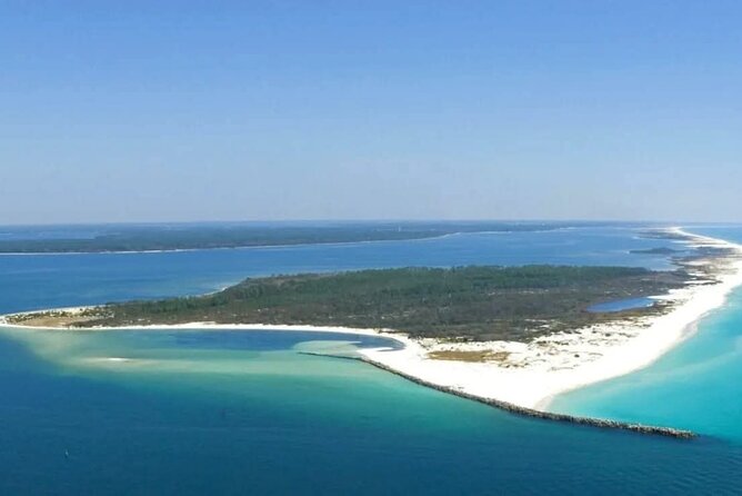 2 Hour Snorkeling and Dolphin Tour - Exploring Shell Island and Its Surroundings