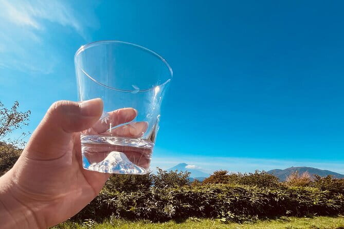 Private Hakone Half-day Tour with Hotel Pickup and Japanese guide - Why This Tour Offers Great Value