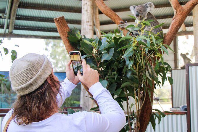 Newcastle: Animal Lovers Tour - Kangaroos, Dolphins & more! - Marvel at the Sand Dunes