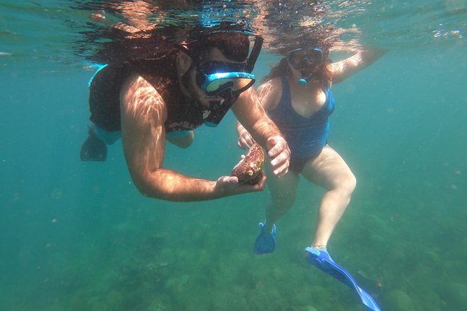 Coral Reef Snorkel Adventure with Photos and Videos - What to Expect at This Rincón Snorkeling Tour
