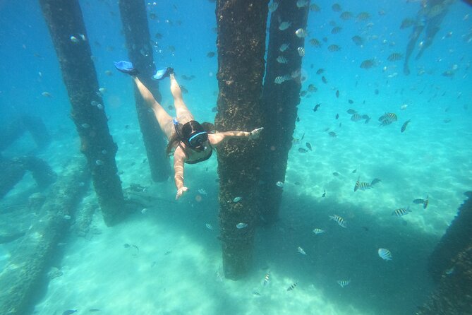 Coral Reef Snorkel Adventure with Photos and Videos - Key Points