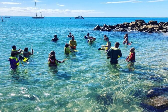 Private Rincon Snorkeling Adventure - Key Points