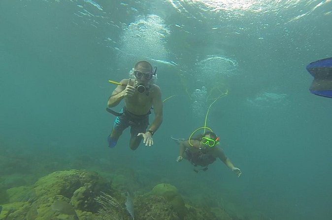 OCTOPUS DIVING (hookah diving) NO Experience Needed - Why Choose Octopus Diving?