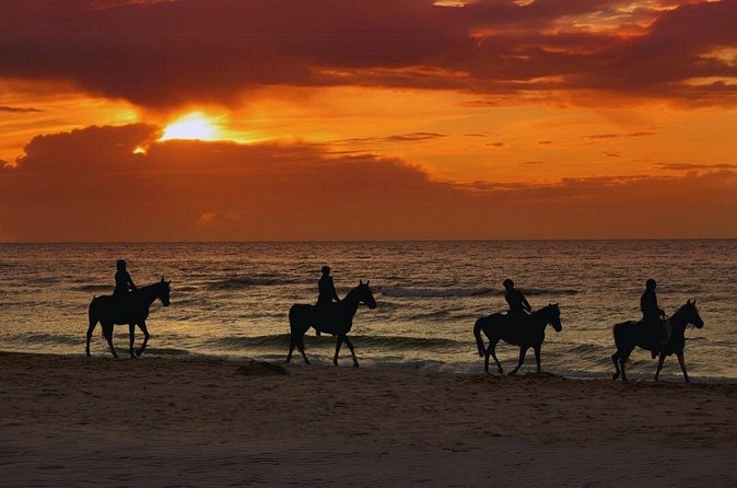 Sunset Horseback Ride by the Beach in Aguadilla, Puerto Rico - FAQ