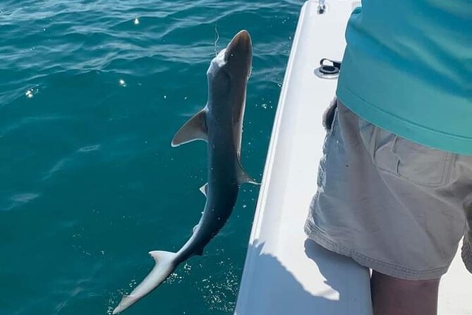 6 Hour Private Fishing Tour in Sarasota with Master Captain Bill - An In-Depth Look at the 6-Hour Sarasota Fishing Tour