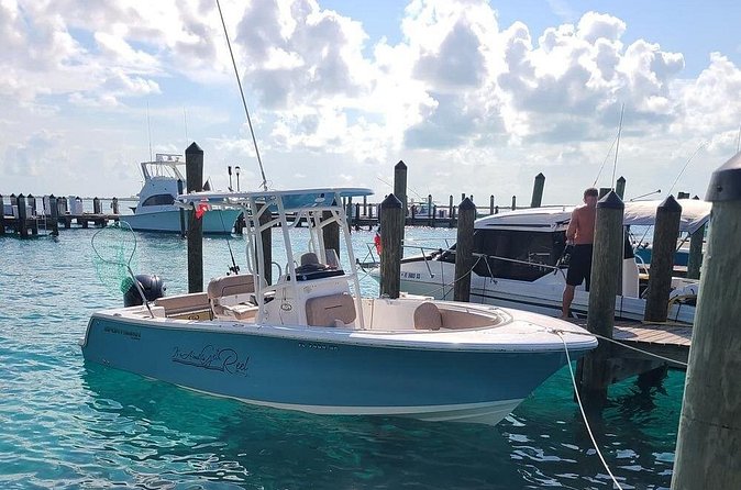 Dock Hop Cruise in Sarasota - Who Will Love This Tour?