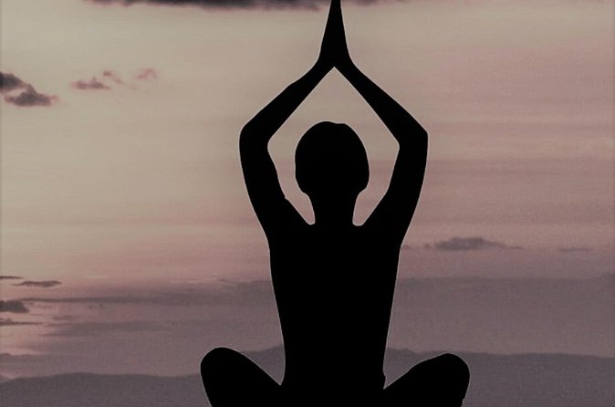 Yoga/Pranayama/Meditation Session with a Certified Guru in Mysore - Why This Experience Offers Value