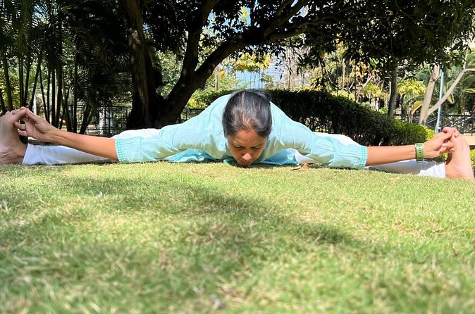 Yoga/Pranayama/Meditation Session with a Certified Guru in Mysore - Final Thoughts