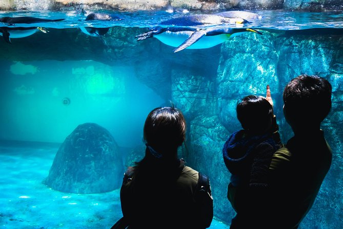 Yokohama Private Intro Tour with a Local, Flexible & Custom - A Truly Personal Introduction to Yokohama