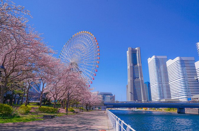 Innovation & Culture of Yokohama  5h Private Shore Tour - FAQs