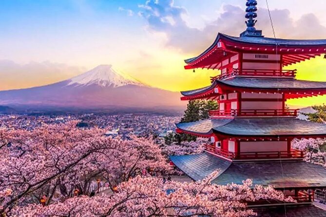 From Yokohama Port Arakurayama & G. Outlets 10 Hour Private Tour - Why Choose the Yokohama Port Private Tour?