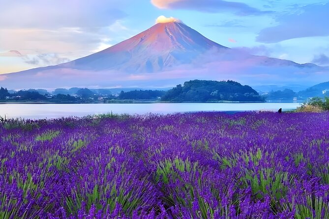 From Yokohama Port Arakurayama & G. Outlets 10 Hour Private Tour - Final Thoughts: Is It Worth It?