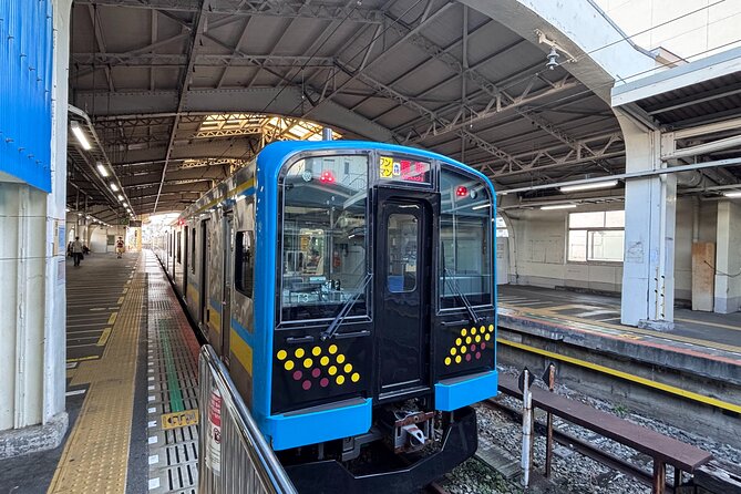 Explore Urban Hidden Yokohama Tsurumi Line with Expert Guide - Exploring Yokohama’s Hidden Tsurumi Line with an Expert Guide
