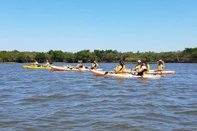 Guided Wildlife Eco Kayak Tour in New Smyrna Beach - FAQ