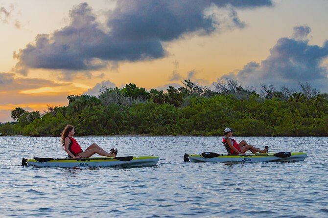 National Park Pedal Kayak Tours in New Smyrna Beach - Why Choose This Tour?