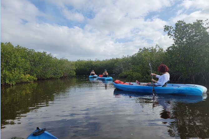 Kayak Rentals - Practical Considerations