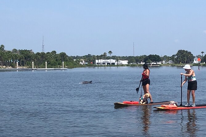 Paddle Board Rental - Exploring Daytona’s Waterways: What to Expect
