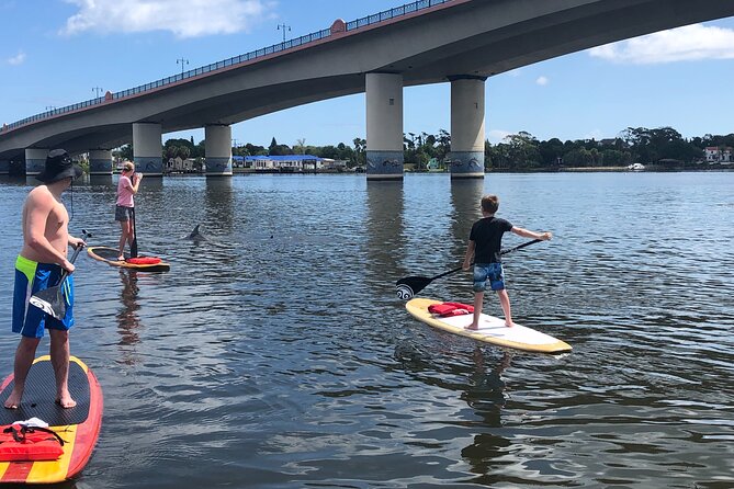 Paddle Board Rental - Analysis of Value and Practicalities