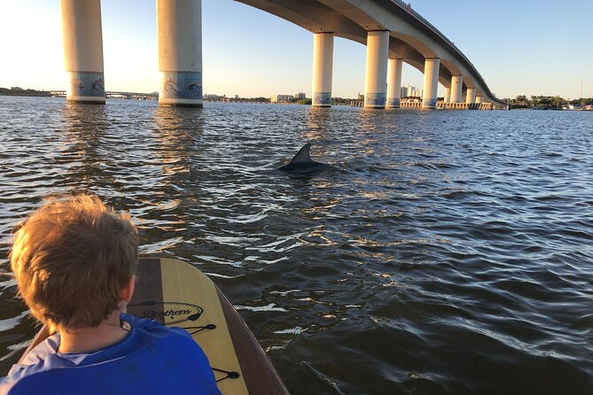 Paddle Board Rental - Paddle Board Rental in Daytona Beach: A Relaxing Water Adventure