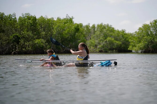Get Up And Go Kayaking - New Smyrna Beach - Who Will Love This Tour?