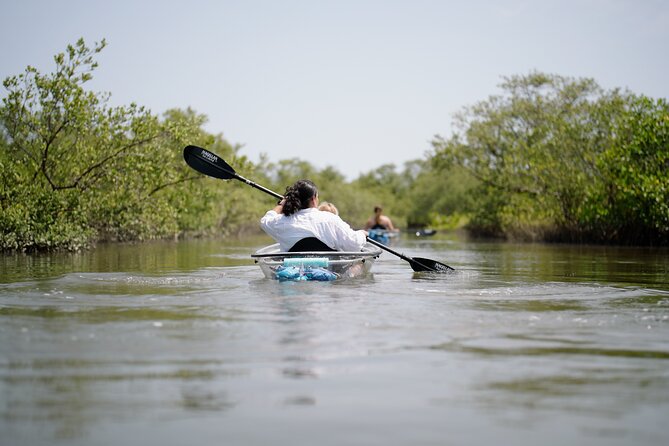 Get Up And Go Kayaking - New Smyrna Beach - Key Points