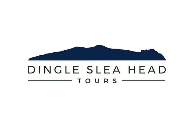 Dingle To Shannon Airport Private Chauffeur Transfer - The Practicalities: What You Need to Know