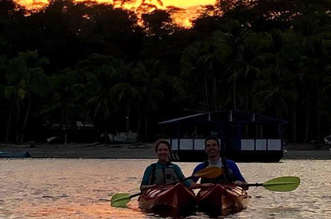 Bioluminescent Kayak Tour - The Sum Up