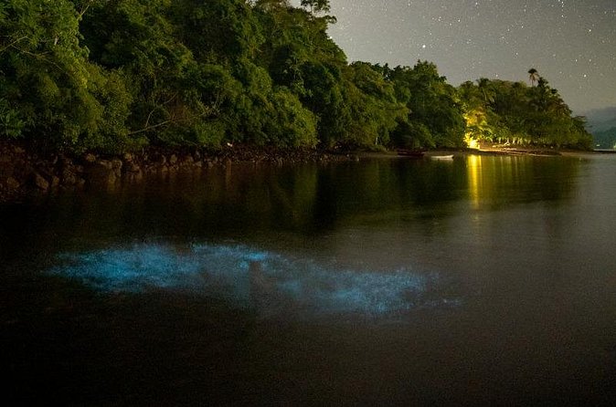 Bioluminescent Kayak Tour - Authenticity and Value
