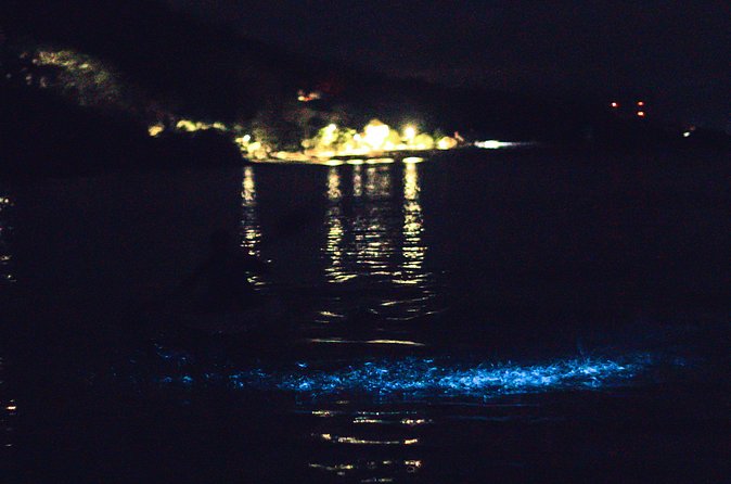 Bioluminescent Kayak Tour - Who Should Consider This Tour?