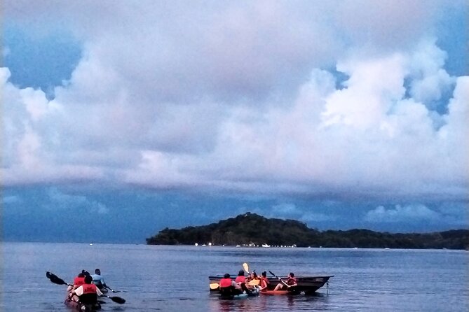 Paquera Bioluminescence Tour by Kayak - The Value of This Tour