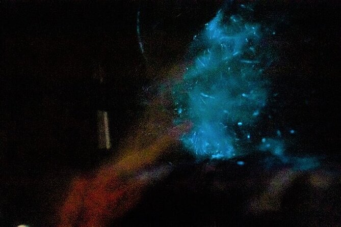 Paquera Bioluminescence Tour by Kayak - Wrapping It Up