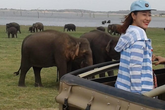 Hurulu Eco Park Safari From Sigiriya - The Sum Up
