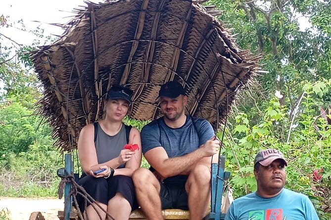 Sigiriya Rock Climb, Village Tour+Cooking Class & Elephant Safari - The Full-Day Adventure: What to Expect