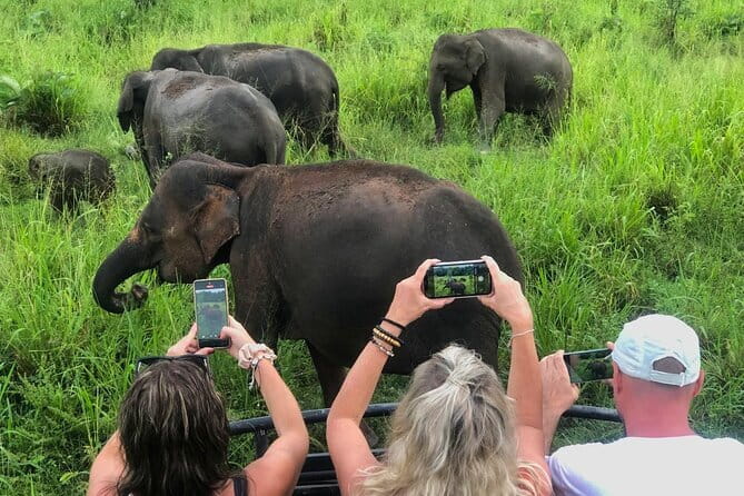 Sigiriya Rock Climb, Village Tour+Cooking Class & Elephant Safari - Good To Know